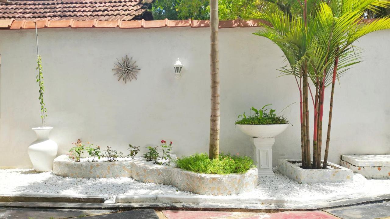 Boho Garden Guest House Mirissa Luaran gambar